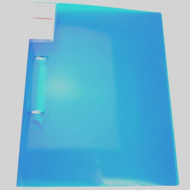 文具 ファイル ファイル ｂ５ ２リングファイル ブルー 100均商品で経費削減 ぱちぱち通販