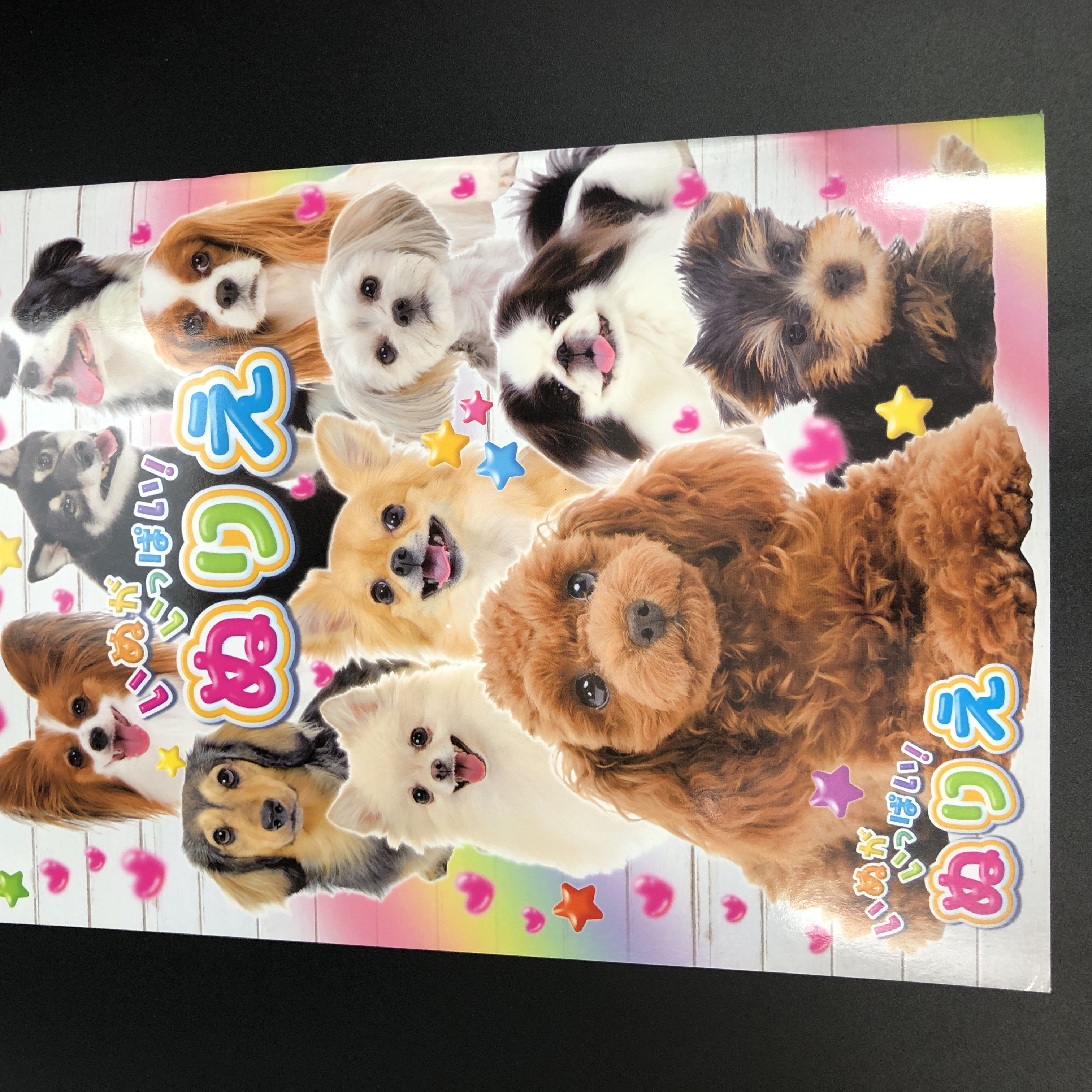 玩具 ぬりえ ねんど ぬりえ ぬりえ いぬがいっぱい A柄 100均商品で経費削減 ぱちぱち通販