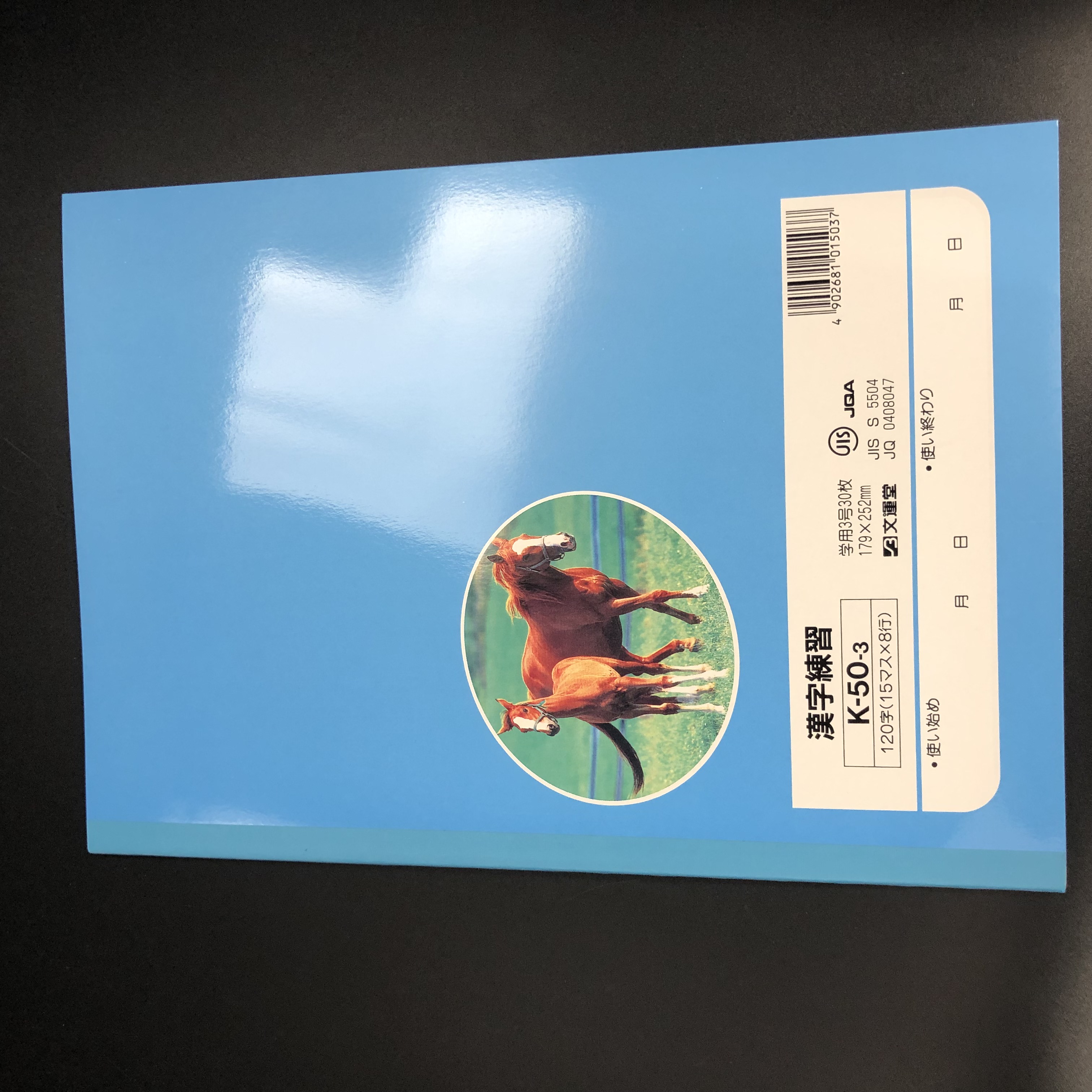 学校法人様向け ノート 学習帳 教科 漢字練習 １２０字 100均商品で経費削減 ぱちぱち通販