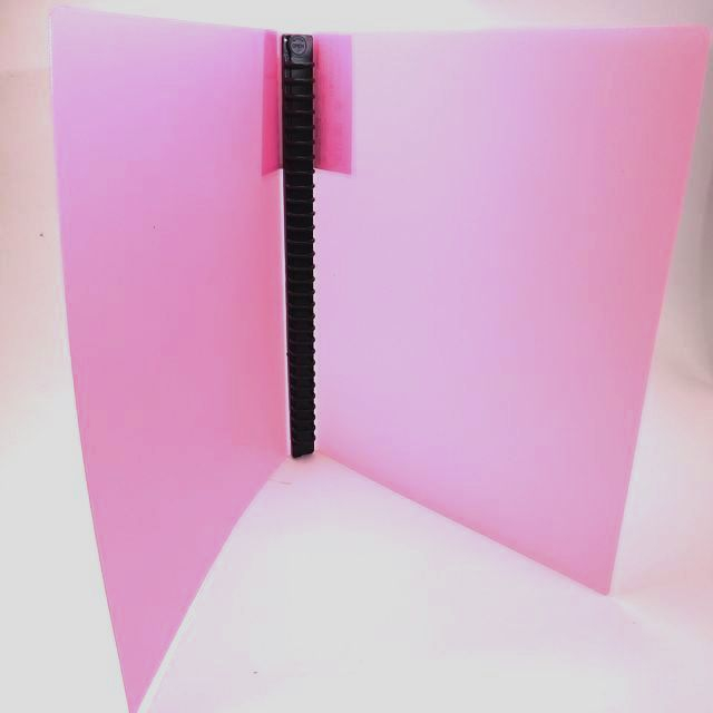 文具 ファイル ファイル ａ４ ３０リングバインダー ピンク 100均商品で経費削減 ぱちぱち通販